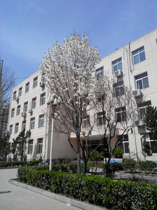 首都铁路卫生学校2019年报名条件、招生对象