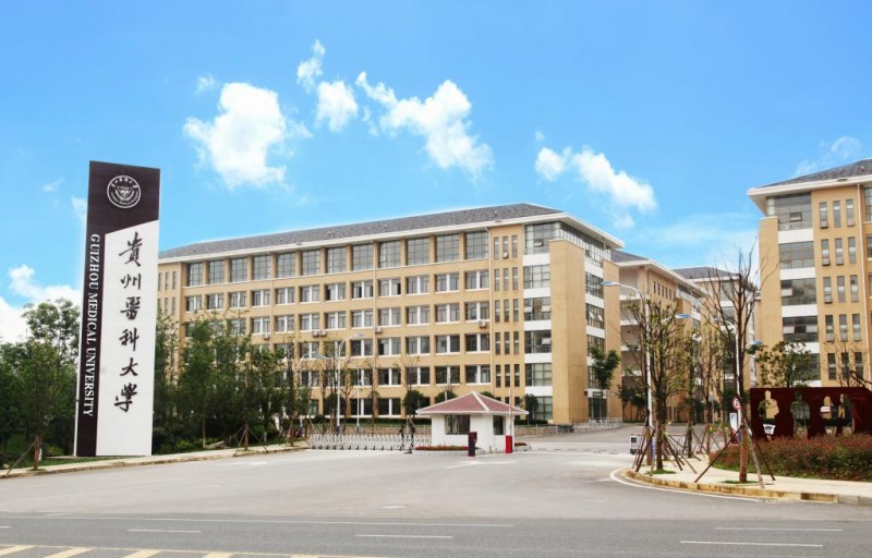 贵阳医学院2019年有哪些专业