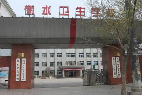 衡水卫生学校2019年有哪些专业