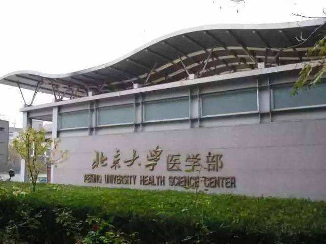 北京大学医学部2019年有哪些专业