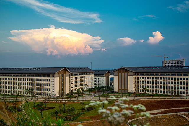 镇江高专卫生护理学院2020年有哪些专业