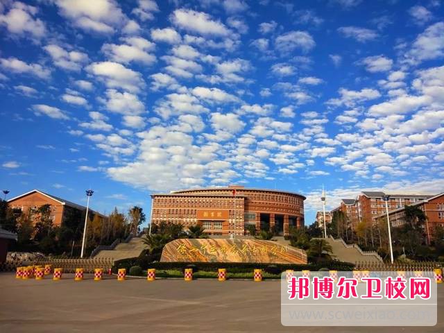 保山中医药高等专科学校2021年招生代码