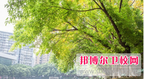 厦门医学高等专科学校排名