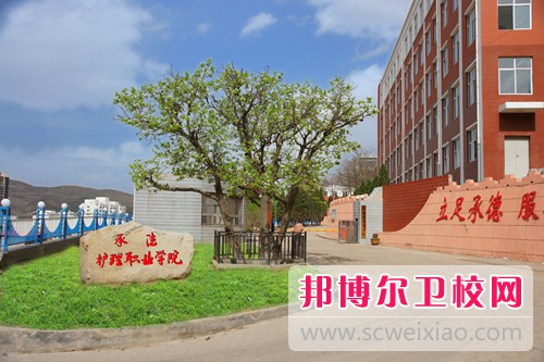 承德护理职业学院为几专