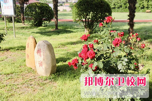 江苏卫生健康职业学院2022年网站网址