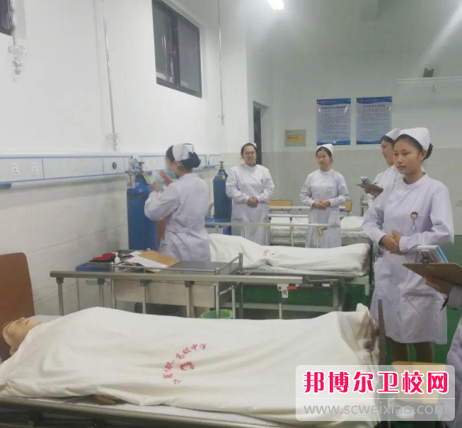 郑州澍青医学高等专科学校2022年招生代码