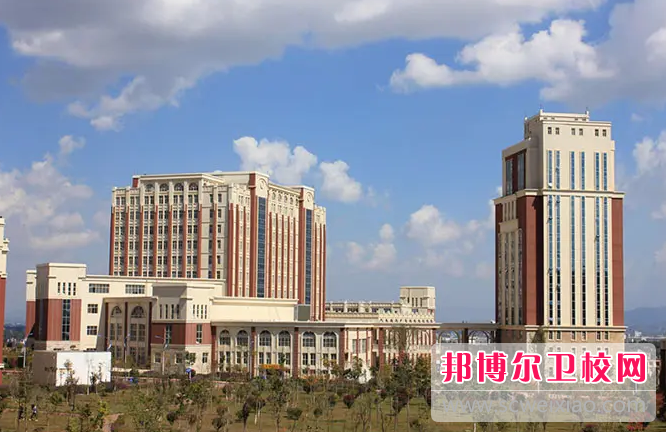 云南外事外语职业学院2023年招生代码