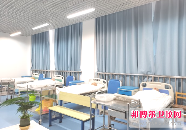 云南外事外语职业学院2023年有哪些专业