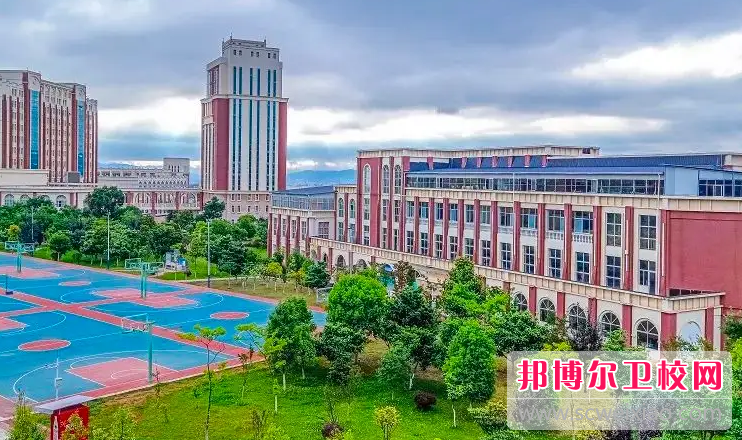 云南外事外语职业学院历年招生录取分数线