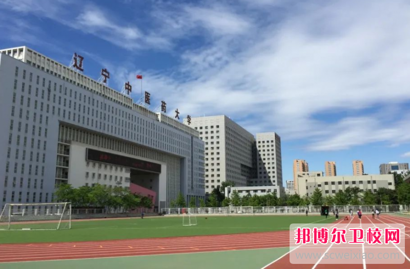 辽宁中医药大学的护理学专业招生如何(2023参考)