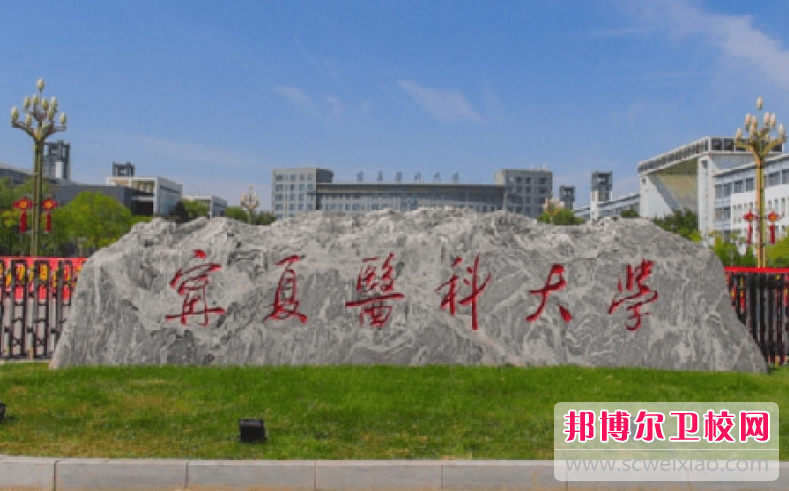 2023宁夏公办卫生学校有哪些 宁夏公办卫生学校名单一览表