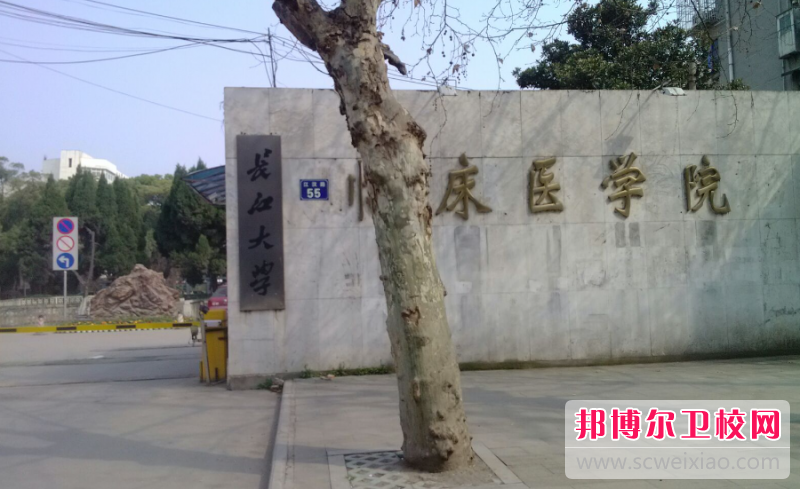 2023长江大学医学院有哪些专业 长江大学医学院开设的专业一览表