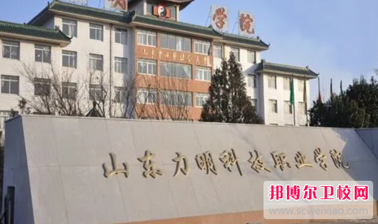 2023临沂民办助产护理学校有哪些 临沂民办助产护理学校名单一览表