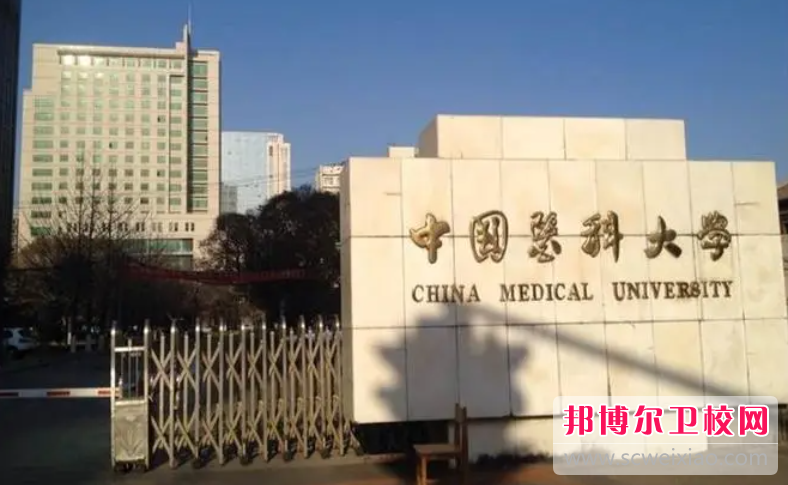 2023本溪公办口腔医学学校有哪些 本溪公办口腔医学学校名单一览表