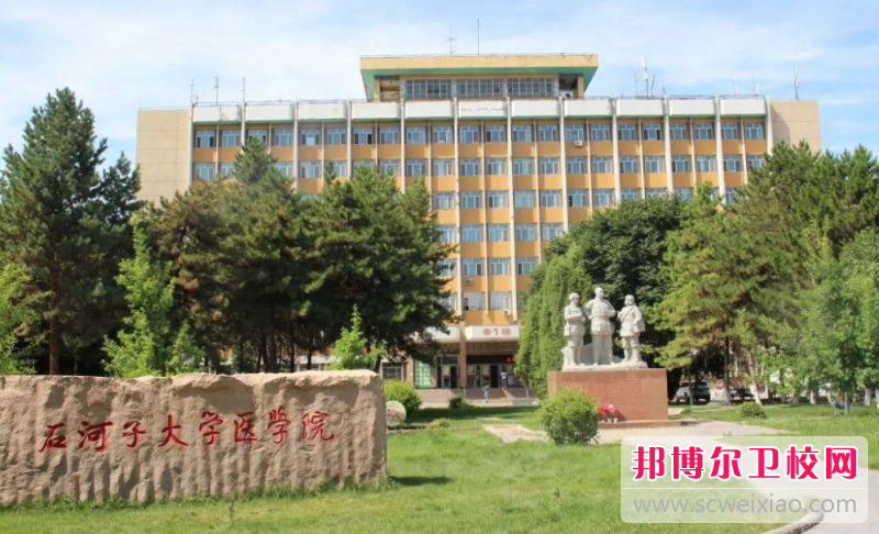 2023石河子公办临床医学学校有哪些 石河子公办临床医学学校名单一览表