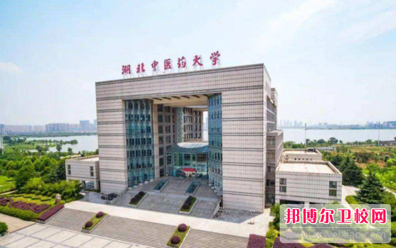 2023武汉公办针灸推拿学校有哪些 武汉公办针灸推拿学校名单一览表