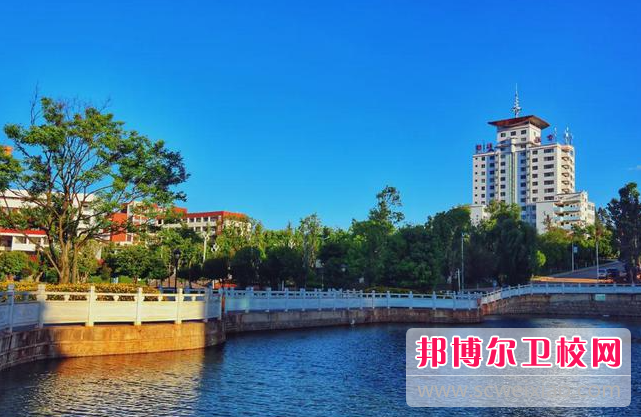 2023楚雄公办针灸推拿学校有哪些 楚雄公办针灸推拿学校名单一览表