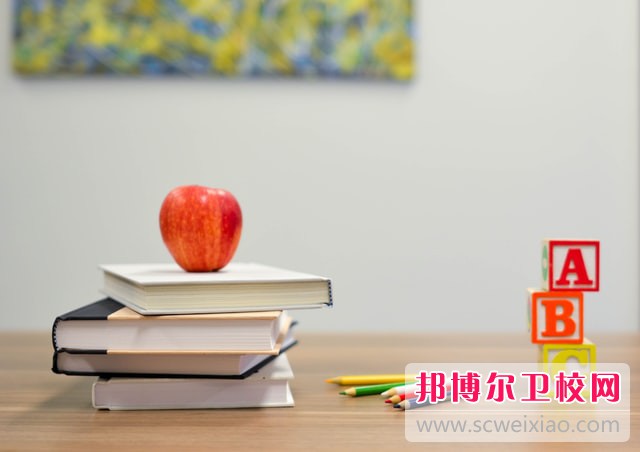 2023新疆排名前二的卫生信息学校名单