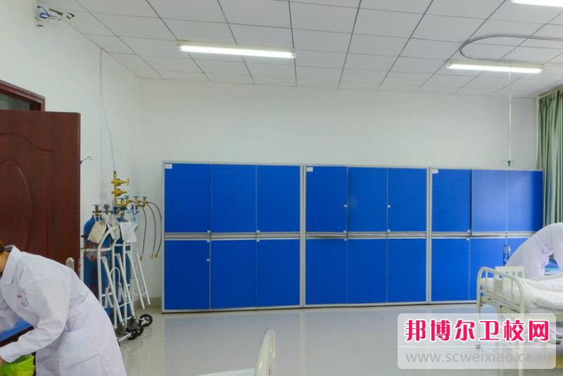 陕西2024年关于护理学校的大专学校