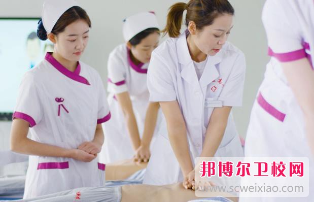 陕西2024年护理学校属于什么学历