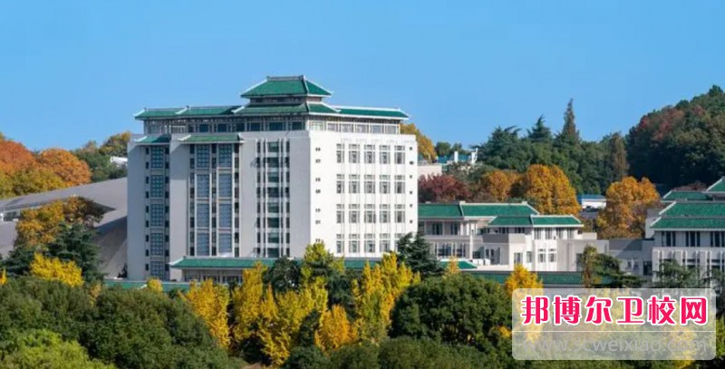 湖北2024年关于护理学校的大专学校