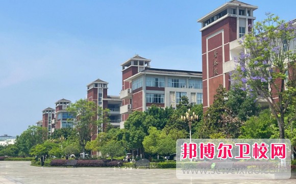 重庆医科大学2024年招生录取分数线（2025参考）